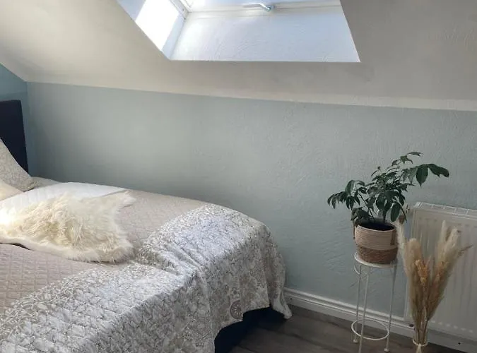 Neue Im Alten Forsthaus *